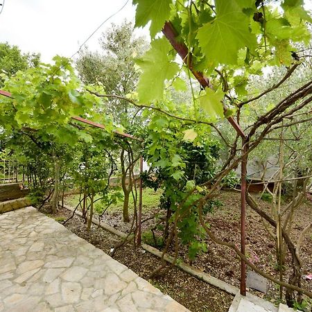 Apartment Lilly زادار المظهر الخارجي الصورة